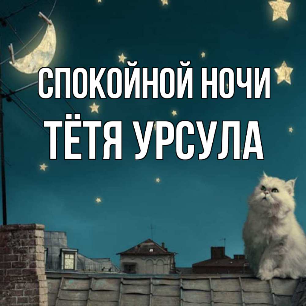 Открытка на каждый день с именем, Тётя-Урсула Спокойной ночи белый кот сидит на крыше Прикольная открытка с пожеланием онлайн скачать бесплатно 