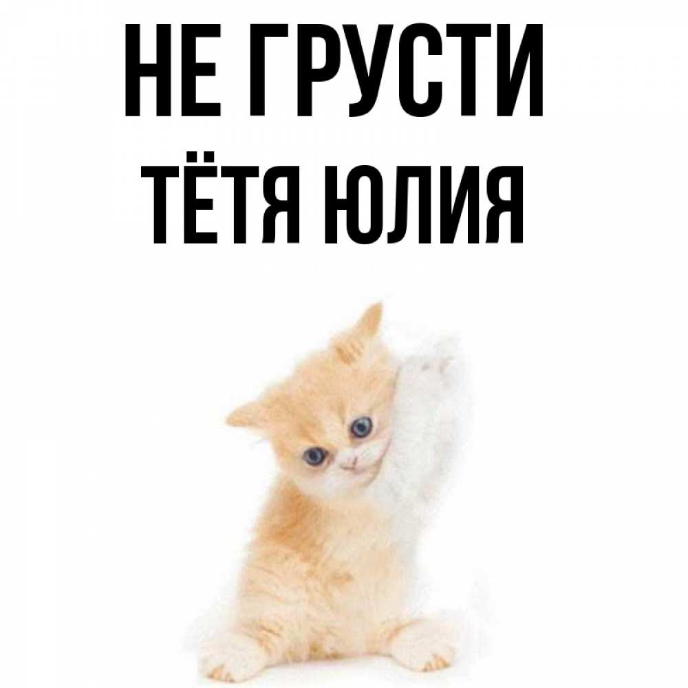 Открытка на каждый день с именем, Тётя-Юлия Не грусти просящий кот Прикольная открытка с пожеланием онлайн скачать бесплатно 
