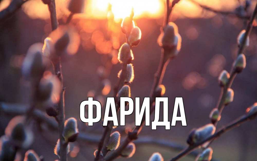 Открытка на каждый день с именем, Фарида Главная верба Прикольная открытка с пожеланием онлайн скачать бесплатно 