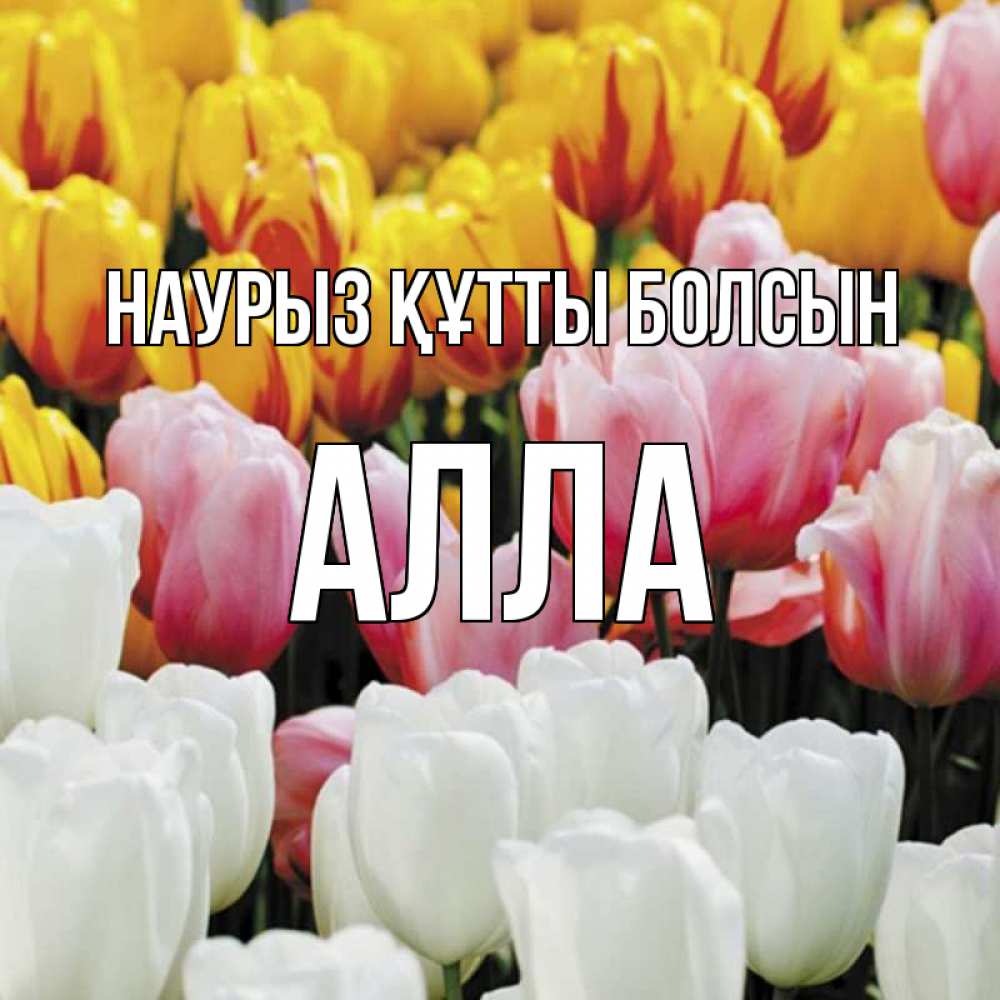 Открытка на каждый день с именем, Алла Наурыз құтты болсын разноцветные цветы Прикольная открытка с пожеланием онлайн скачать бесплатно 