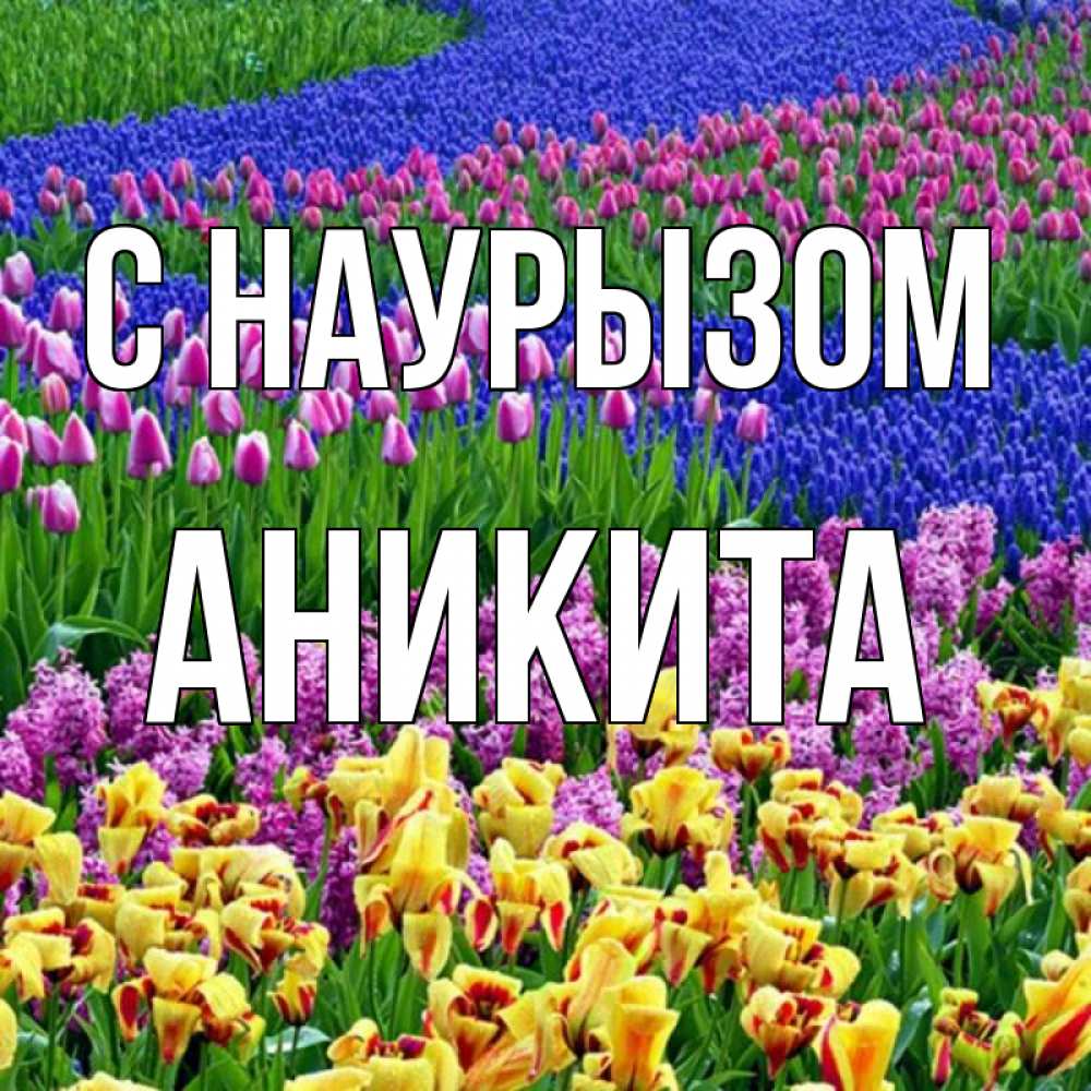 Открытка на каждый день с именем, Аникита С наурызом цветы Прикольная открытка с пожеланием онлайн скачать бесплатно 