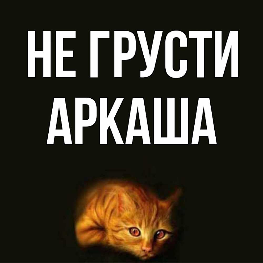 Открытка на каждый день с именем, Аркаша Не грусти лежащий кот в темноте Прикольная открытка с пожеланием онлайн скачать бесплатно 