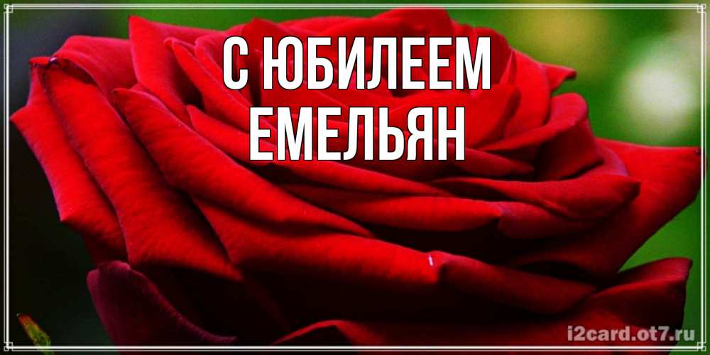 Открытка на каждый день с именем, Емельян С юбилеем розочка очень красивая Прикольная открытка с пожеланием онлайн скачать бесплатно 