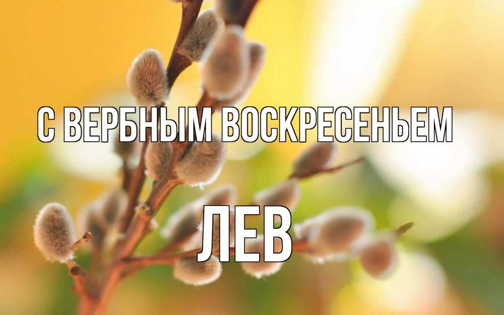Открытка на каждый день с именем, Лев С вербным воскресеньем верба Прикольная открытка с пожеланием онлайн скачать бесплатно 