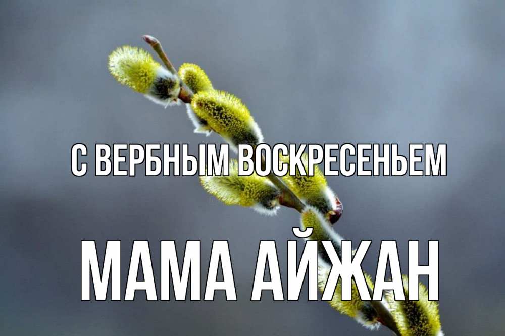 Открытка на каждый день с именем, Мама-Айжан С вербным воскресеньем верба Прикольная открытка с пожеланием онлайн скачать бесплатно 