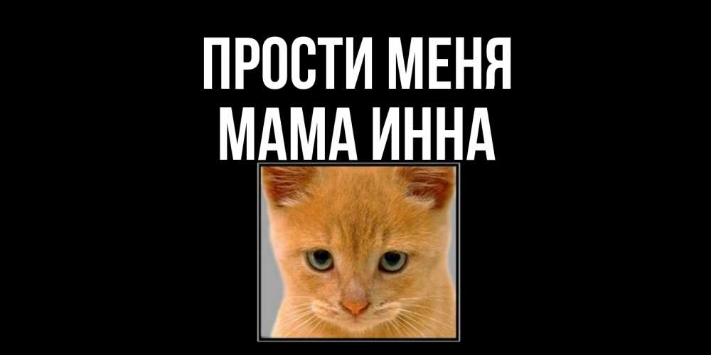 Открытка на каждый день с именем, Мама-Инна Прости меня рыжий грустный кот просит прощения Прикольная открытка с пожеланием онлайн скачать бесплатно 