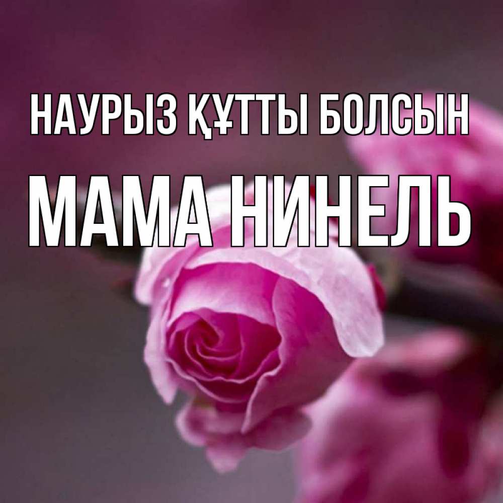 Открытка на каждый день с именем, Мама-Нинель Наурыз құтты болсын весна Прикольная открытка с пожеланием онлайн скачать бесплатно 