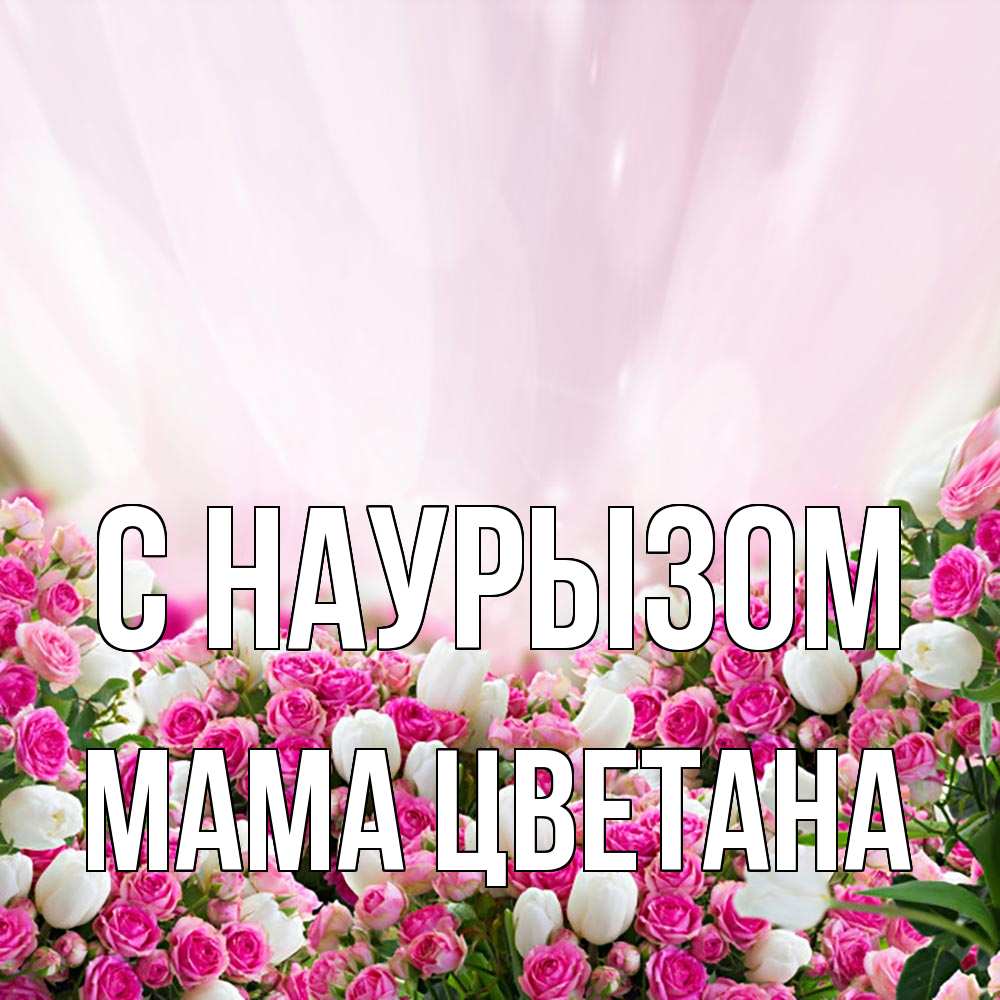 Открытка на каждый день с именем, Мама-Цветана С наурызом под снегом Прикольная открытка с пожеланием онлайн скачать бесплатно 