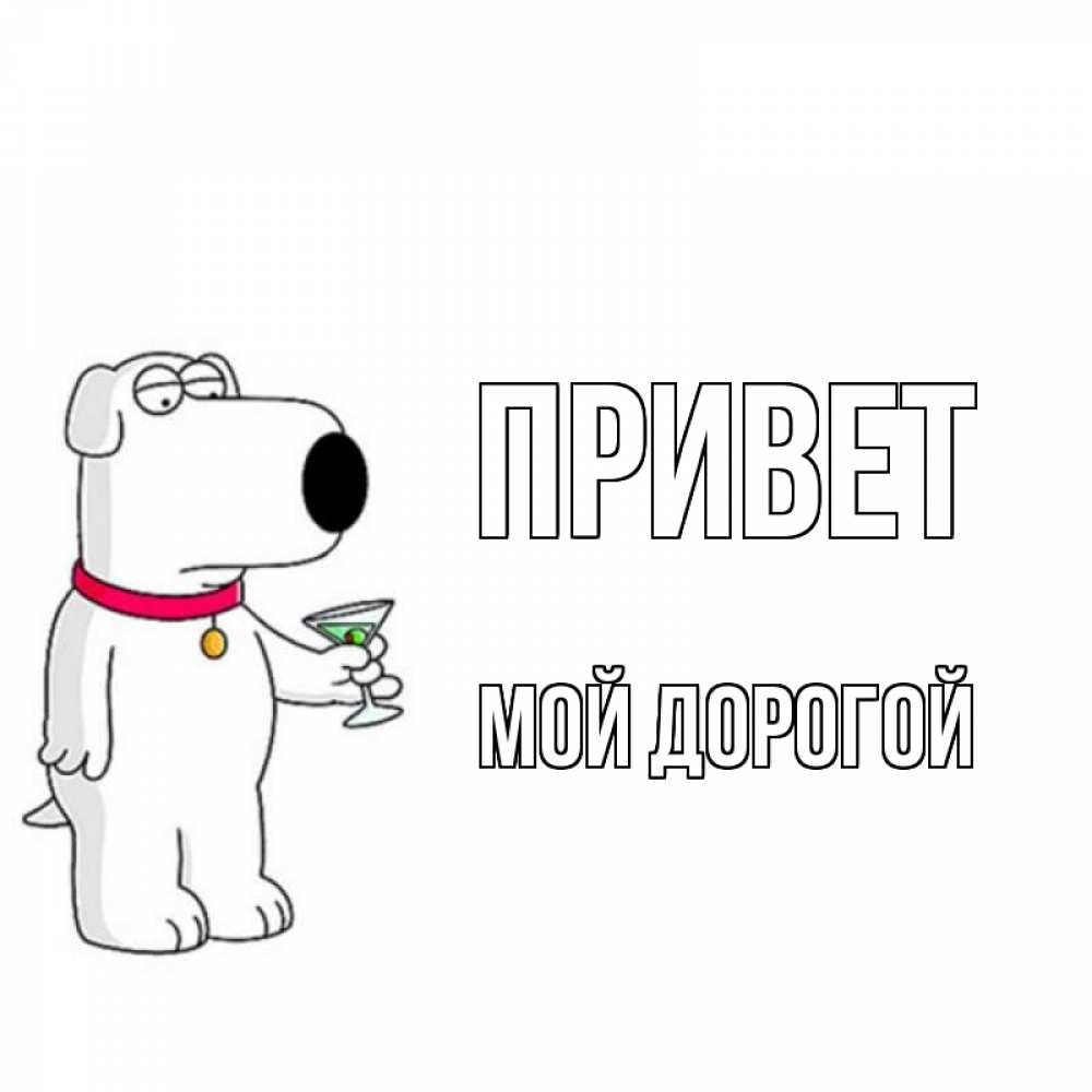Открытка на каждый день с именем, Мой-дорогой Привет собака и коктейль Прикольная открытка с пожеланием онлайн скачать бесплатно 