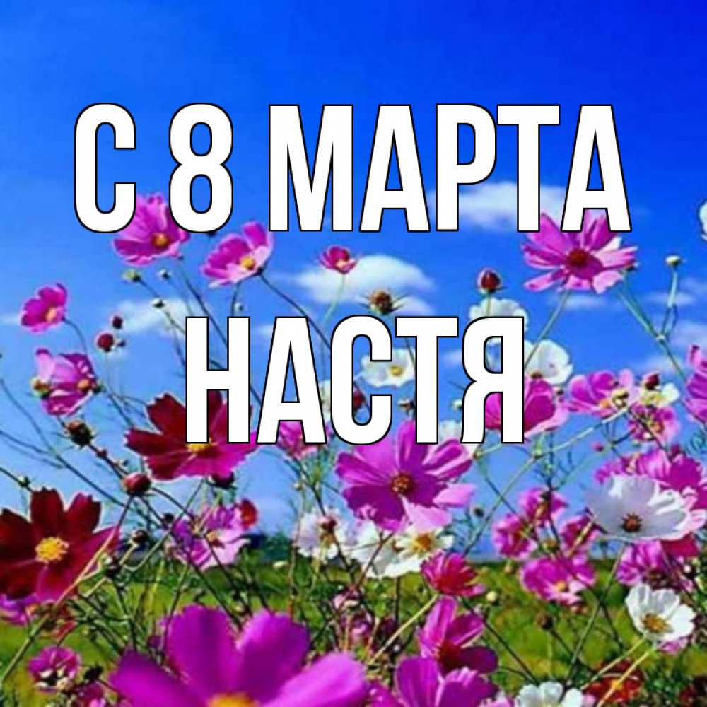 Открытка на каждый день с именем, Настя С 8 марта цветы Прикольная открытка с пожеланием онлайн скачать бесплатно 
