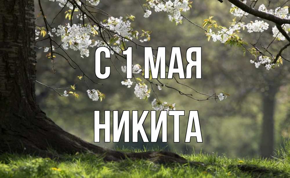 Открытка на каждый день с именем, Никита С 1 мая С 1 мая Прикольная открытка с пожеланием онлайн скачать бесплатно 