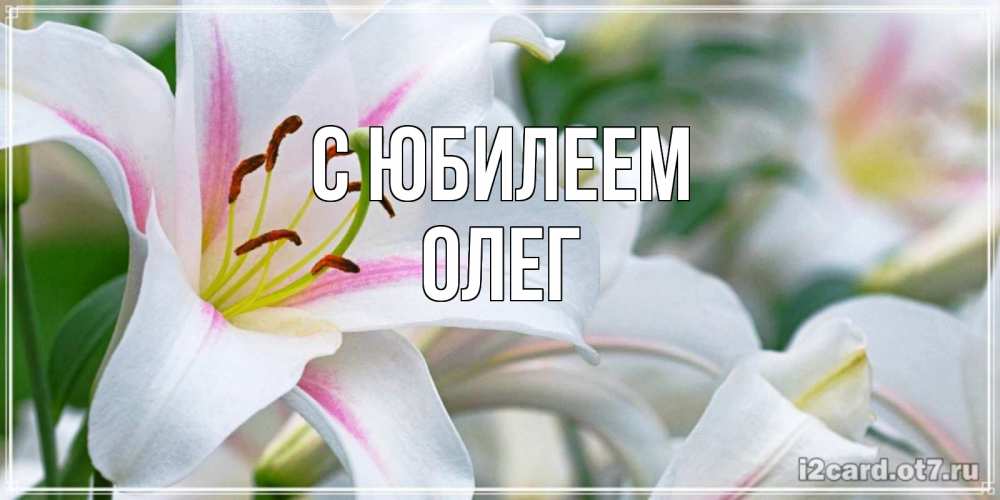 Открытка на каждый день с именем, Олег С юбилеем открытка с белой лилией Прикольная открытка с пожеланием онлайн скачать бесплатно 