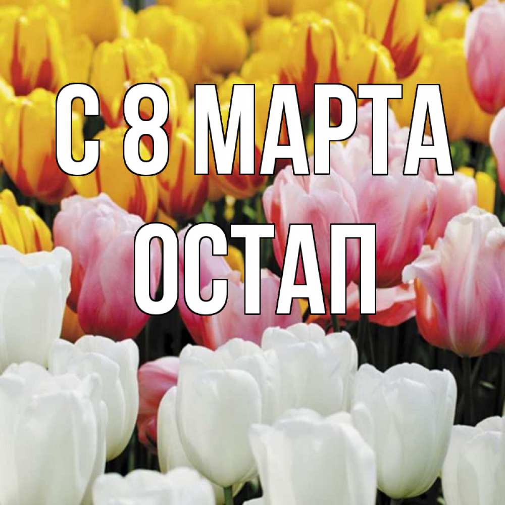 Открытка на каждый день с именем, Остап С 8 марта разноцветные цветы Прикольная открытка с пожеланием онлайн скачать бесплатно 