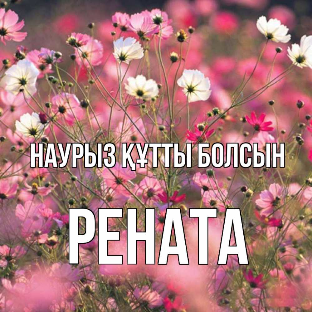 Открытка на каждый день с именем, Рената Наурыз құтты болсын красиво 1 Прикольная открытка с пожеланием онлайн скачать бесплатно 