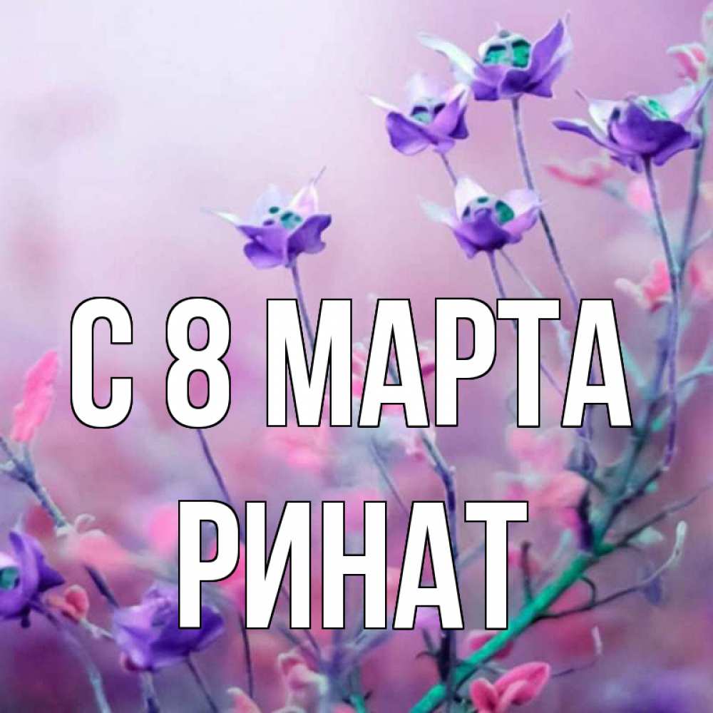 Открытка на каждый день с именем, Ринат С 8 марта международный женский день 2 Прикольная открытка с пожеланием онлайн скачать бесплатно 