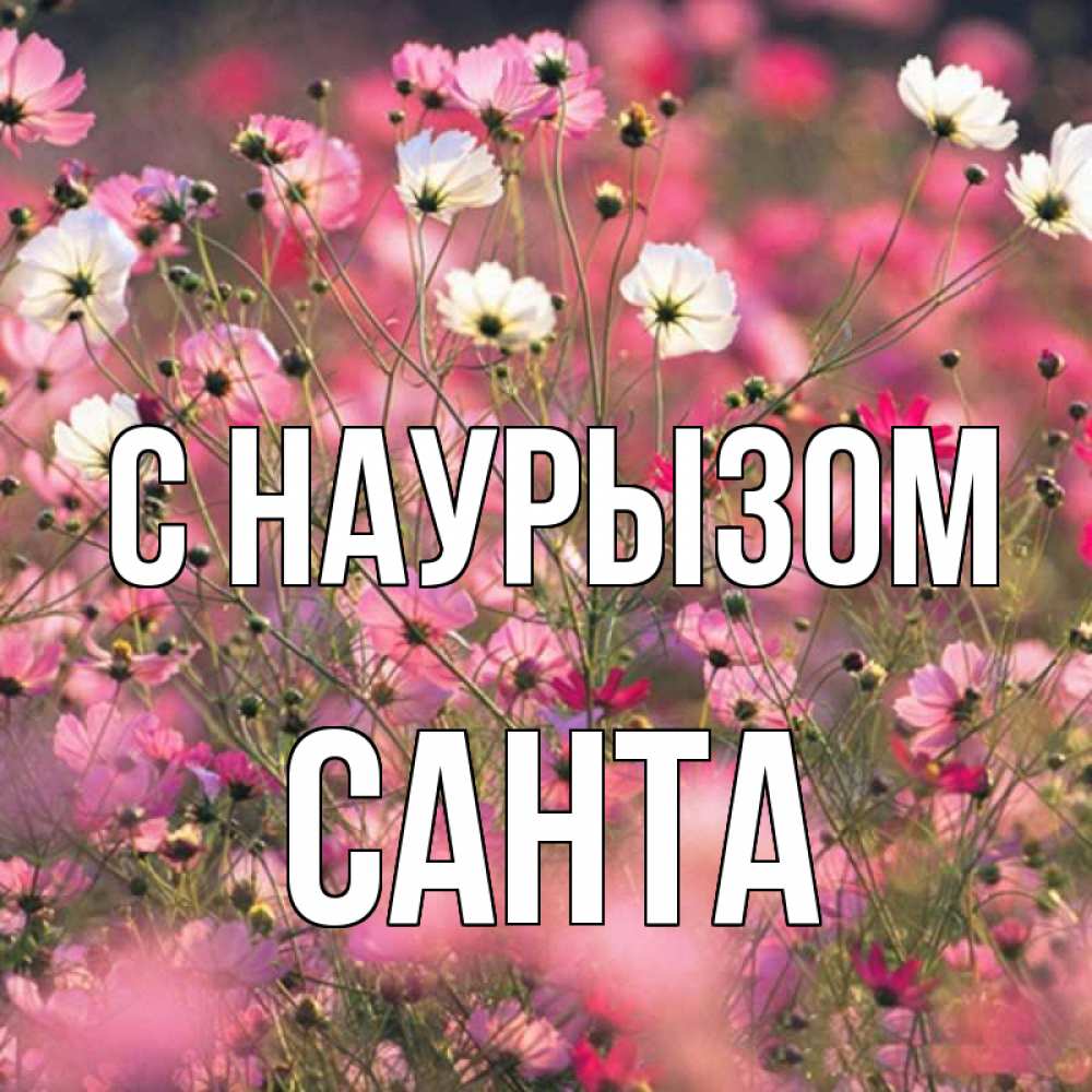 Открытка на каждый день с именем, Санта С наурызом красиво 1 Прикольная открытка с пожеланием онлайн скачать бесплатно 