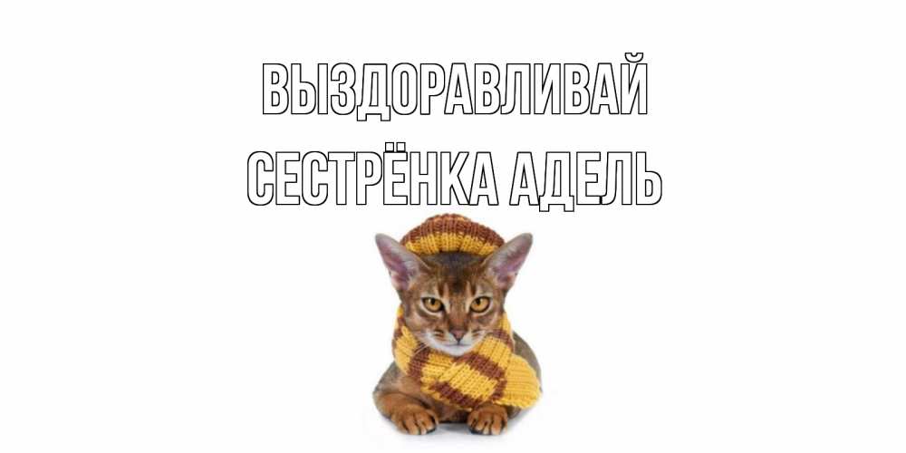 Открытка на каждый день с именем, Сестрёнка-Адель Выздоравливай родные не болейте Прикольная открытка с пожеланием онлайн скачать бесплатно 