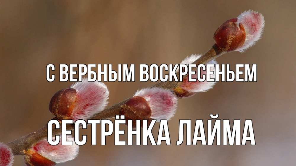 Открытка на каждый день с именем, Сестрёнка-Лайма С вербным воскресеньем верба Прикольная открытка с пожеланием онлайн скачать бесплатно 