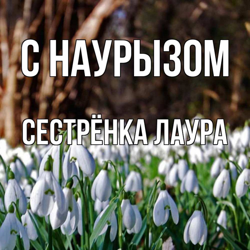 Открытка на каждый день с именем, Сестрёнка-Лаура С наурызом с подснежниками 1 Прикольная открытка с пожеланием онлайн скачать бесплатно 