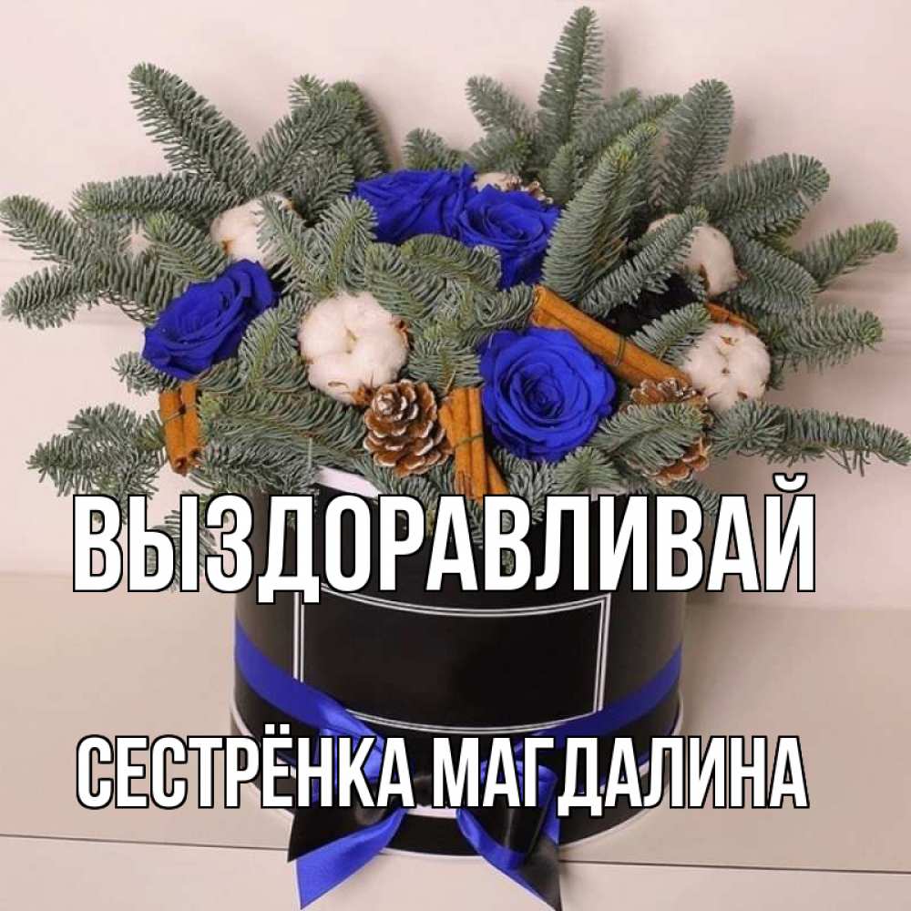 Открытка на каждый день с именем, Сестрёнка-Магдалина Выздоравливай короче кто то загрузил эти шишки Прикольная открытка с пожеланием онлайн скачать бесплатно 