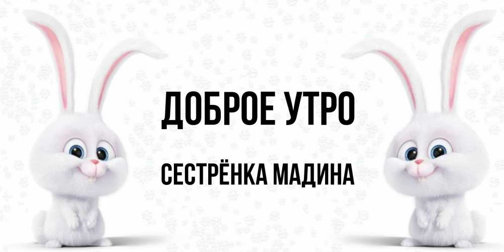Открытка на каждый день с именем, Сестрёнка-Мадина Доброе утро кролики с длинными ушками Прикольная открытка с пожеланием онлайн скачать бесплатно 