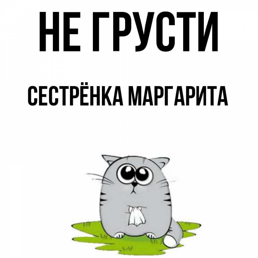Открытка на каждый день с именем, Сестрёнка-Маргарита Не грусти грустный котяра Прикольная открытка с пожеланием онлайн скачать бесплатно 