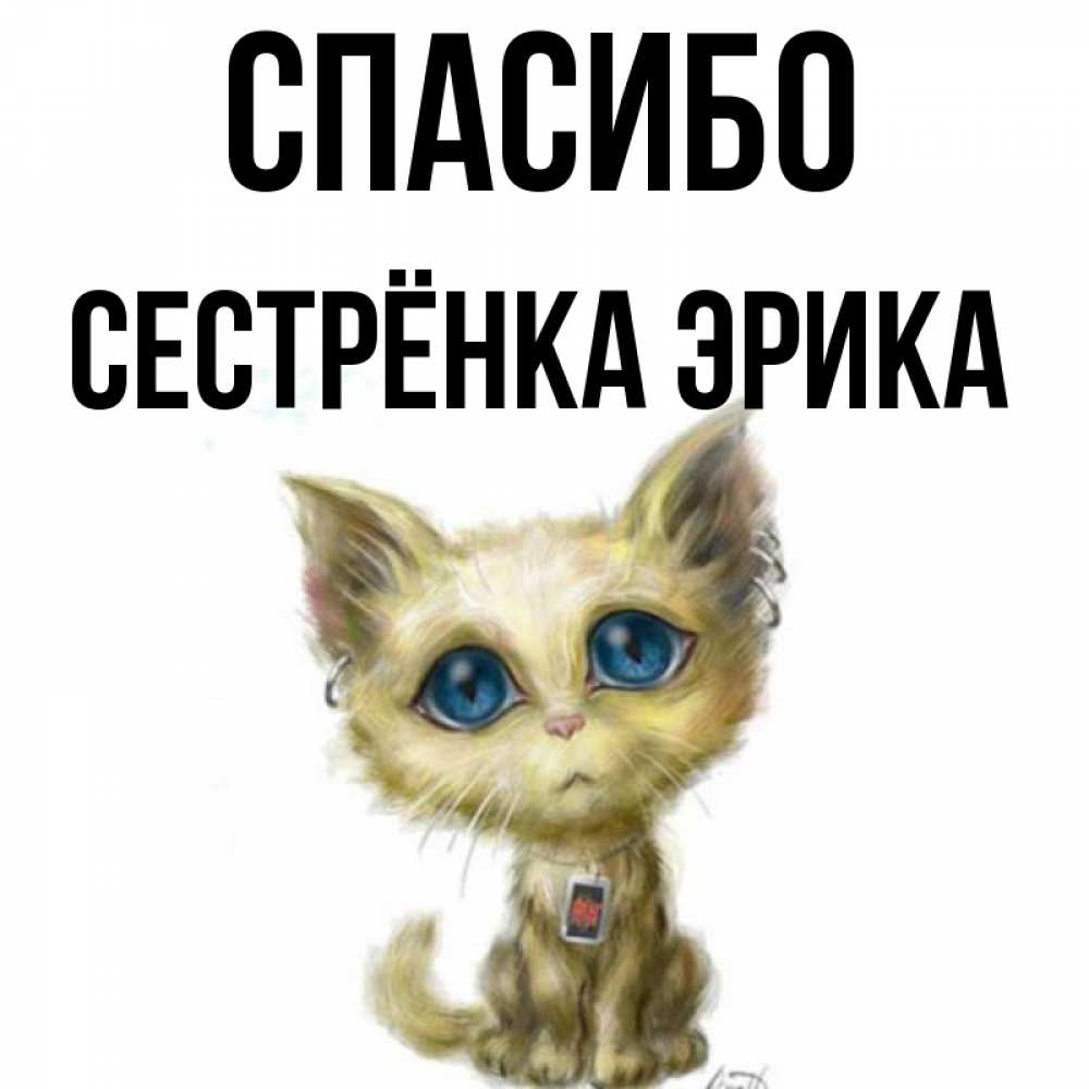 Открытка на каждый день с именем, Сестрёнка-Эрика Спасибо рисованный кот благодарит вас Прикольная открытка с пожеланием онлайн скачать бесплатно 
