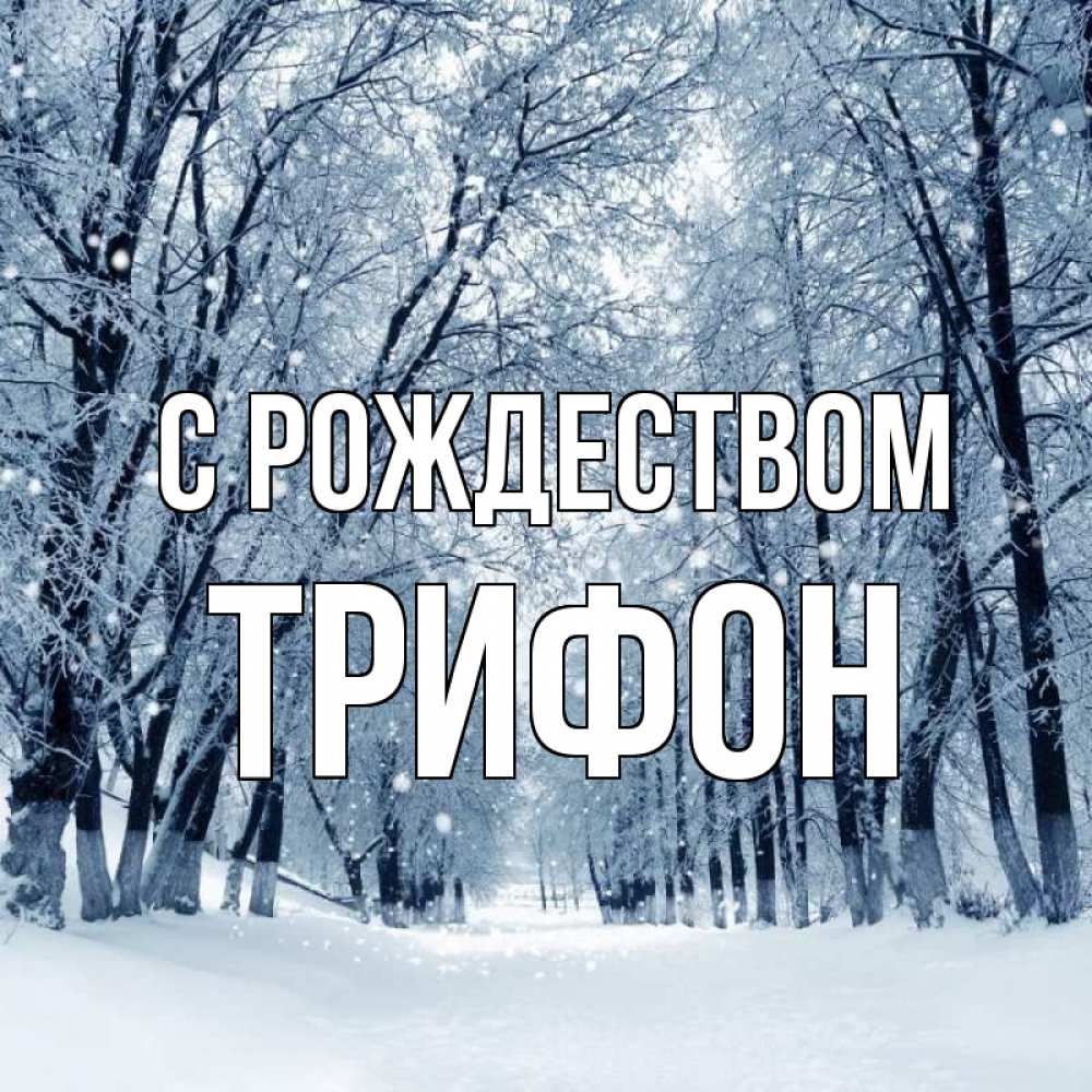 Открытка на каждый день с именем, Трифон С рождеством снег, лес, парк Прикольная открытка с пожеланием онлайн скачать бесплатно 