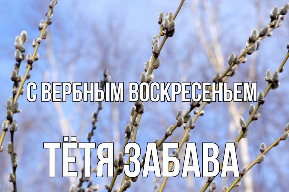 Открытка на каждый день с именем, Тётя-Забава С вербным воскресеньем верба Прикольная открытка с пожеланием онлайн скачать бесплатно 