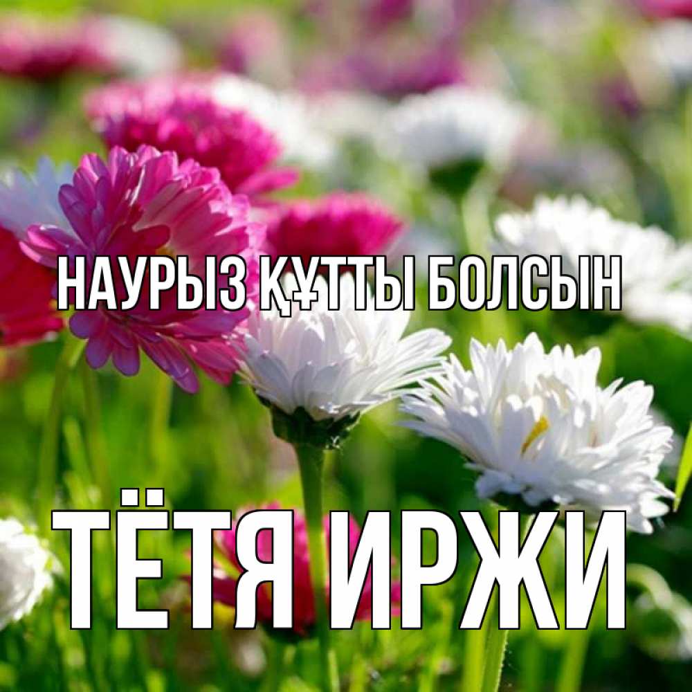 Открытка на каждый день с именем, Тётя-Иржи Наурыз құтты болсын наурыз Прикольная открытка с пожеланием онлайн скачать бесплатно 