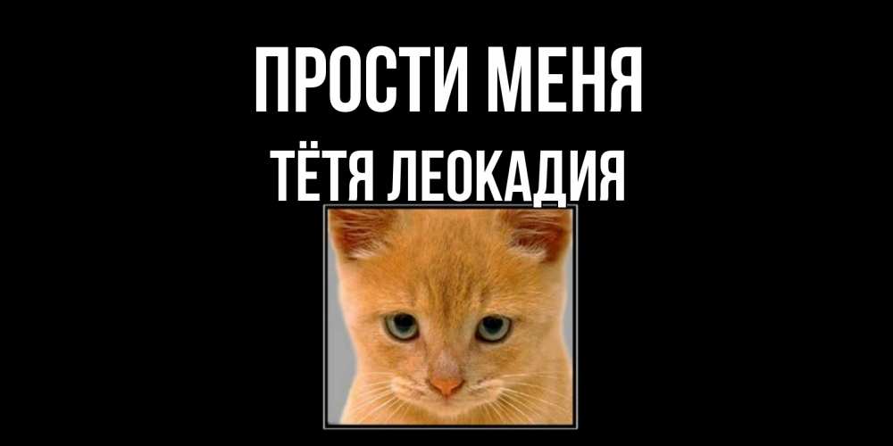 Открытка на каждый день с именем, Тётя-Леокадия Прости меня рыжий грустный кот просит прощения Прикольная открытка с пожеланием онлайн скачать бесплатно 
