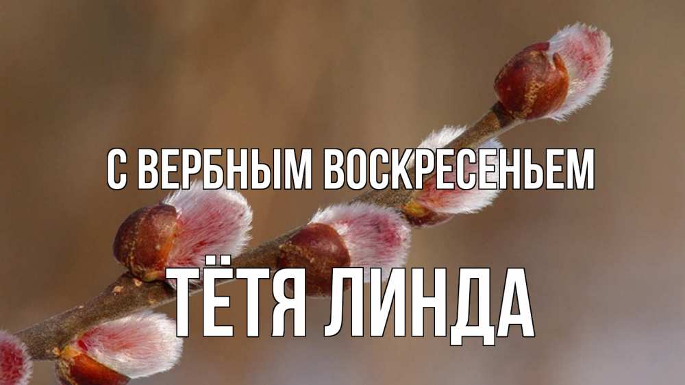 Открытка на каждый день с именем, Тётя-Линда С вербным воскресеньем верба Прикольная открытка с пожеланием онлайн скачать бесплатно 