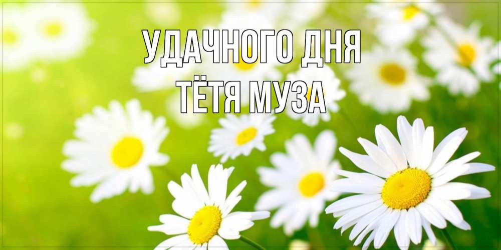 Открытка на каждый день с именем, Тётя-Муза Удачного дня открытка с ромашками на зеленом фоне Прикольная открытка с пожеланием онлайн скачать бесплатно 
