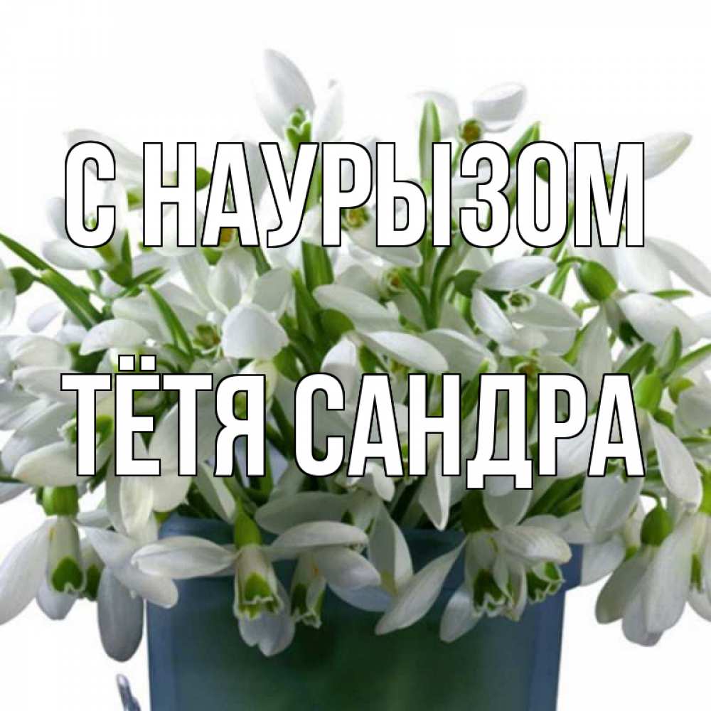 Открытка на каждый день с именем, Тётя-Сандра С наурызом цветы к наурызу новый год в Казахстане Прикольная открытка с пожеланием онлайн скачать бесплатно 