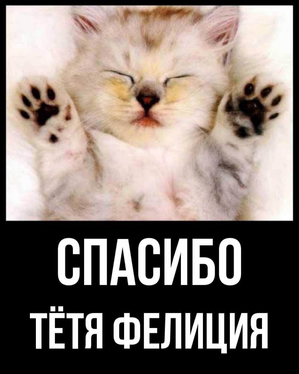 Открытка на каждый день с именем, Тётя-Фелиция Спасибо маленький котенок Прикольная открытка с пожеланием онлайн скачать бесплатно 