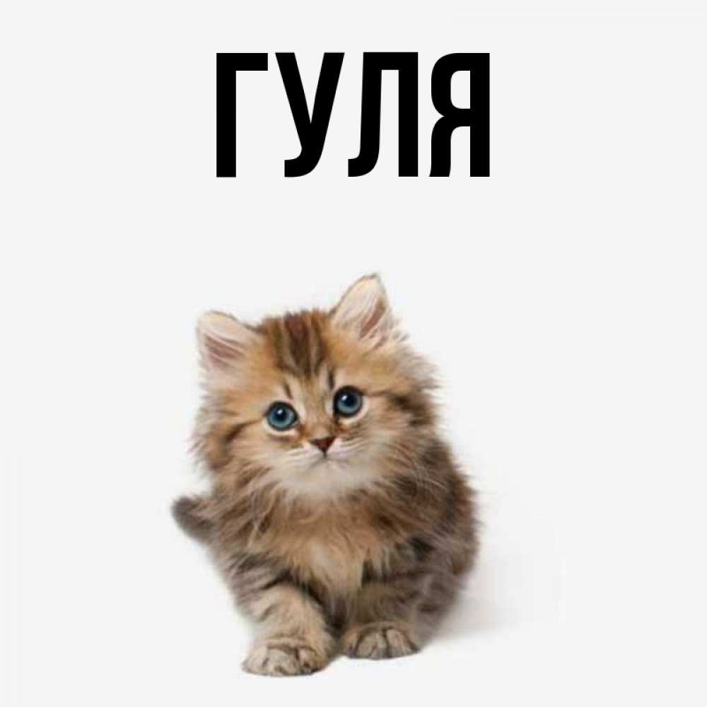 Ярик полное имя. Гуль открытка. Гуль надпись. Картинки с именем Ярик. Обои с именем Ярик.