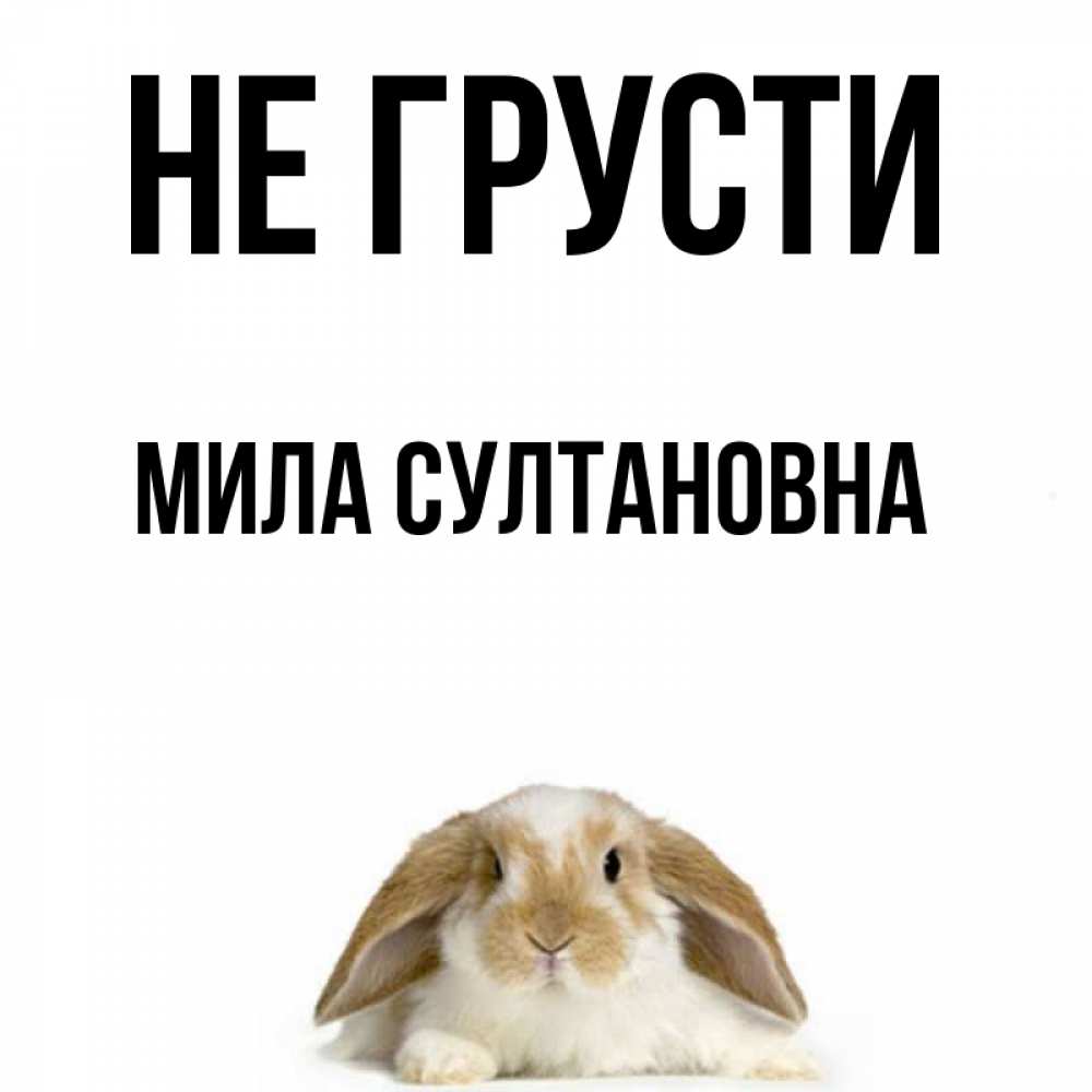 Не грусти милая картинка