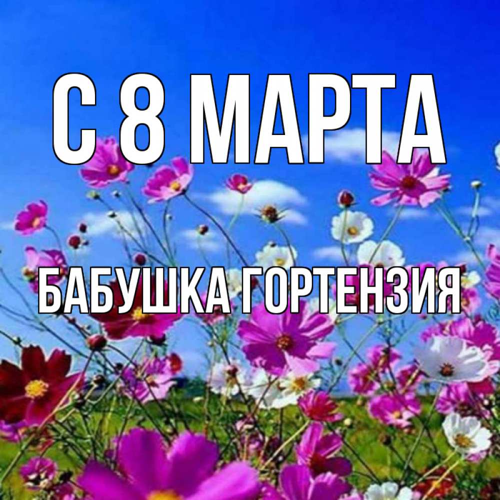 Открытка на каждый день с именем, Бабушка-Гортензия С 8 МАРТА цветы Прикольная открытка с пожеланием онлайн скачать бесплатно 