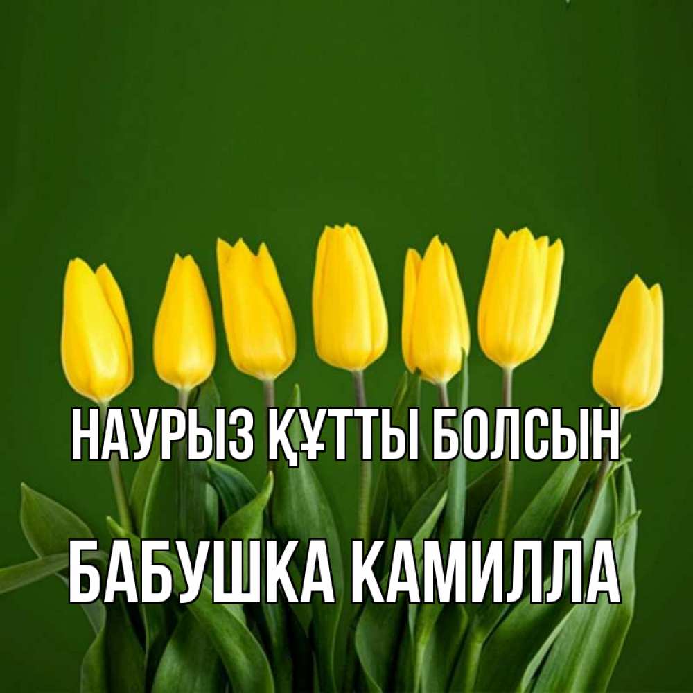 Открытка на каждый день с именем, Бабушка-Камилла Наурыз құтты болсын желтого цвета 3 Прикольная открытка с пожеланием онлайн скачать бесплатно 
