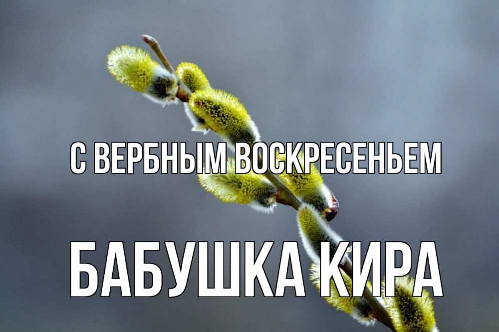 Открытка на каждый день с именем, Бабушка-Кира С вербным воскресеньем верба Прикольная открытка с пожеланием онлайн скачать бесплатно 