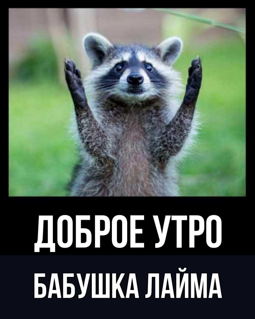 Открытка на каждый день с именем, Бабушка-Лайма Доброе утро хорошее настроение утречком Прикольная открытка с пожеланием онлайн скачать бесплатно 