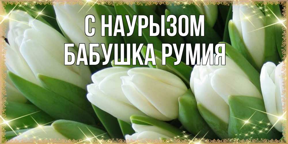 Открытка на каждый день с именем, Бабушка-Румия С наурызом поздравляем с праздник весны наурыз Прикольная открытка с пожеланием онлайн скачать бесплатно 