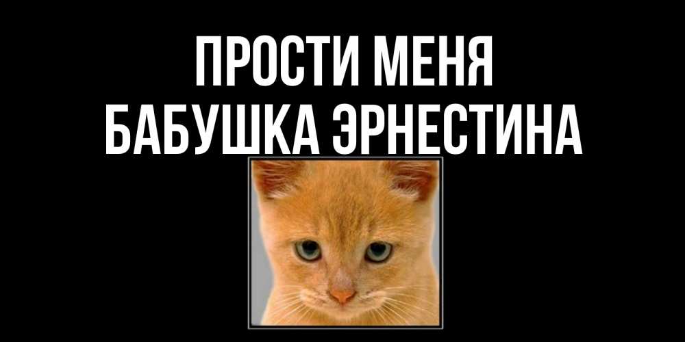 Открытка на каждый день с именем, Бабушка-Эрнестина Прости меня рыжий грустный кот просит прощения Прикольная открытка с пожеланием онлайн скачать бесплатно 