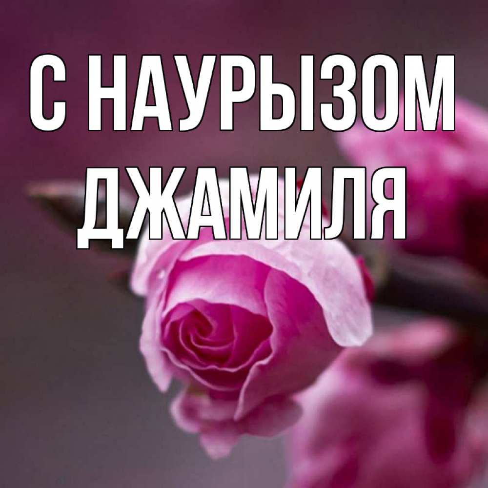 Открытка на каждый день с именем, Джамиля С наурызом весна Прикольная открытка с пожеланием онлайн скачать бесплатно 