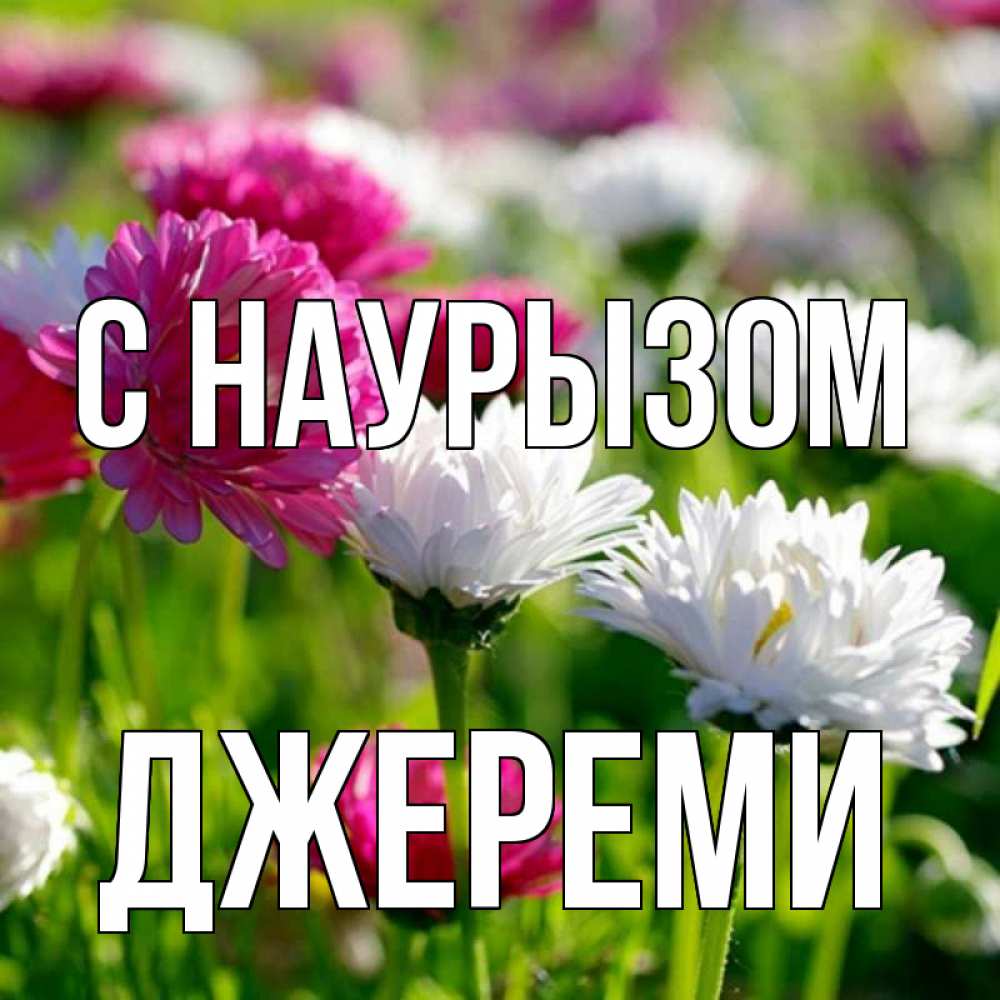 Открытка на каждый день с именем, Джереми С наурызом праздник весны наурыз красота Прикольная открытка с пожеланием онлайн скачать бесплатно 