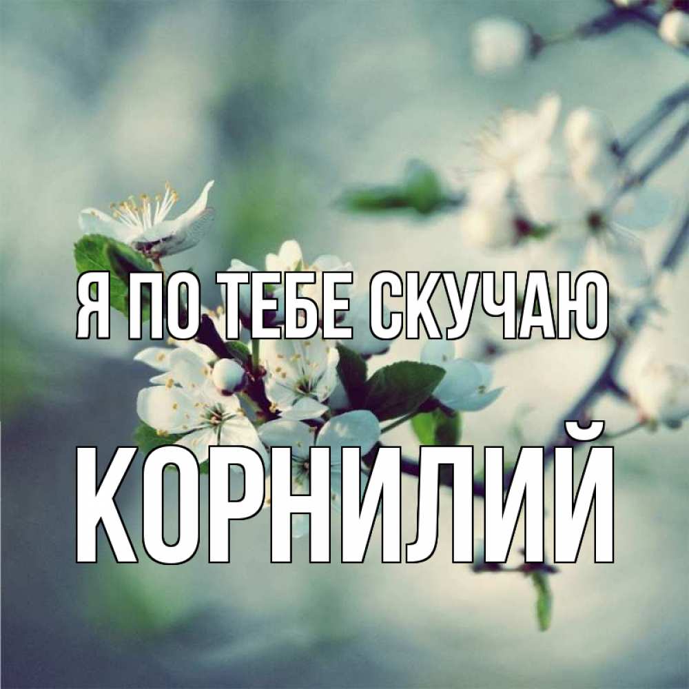 Открытка на каждый день с именем, Корнилий Я по тебе скучаю весна Прикольная открытка с пожеланием онлайн скачать бесплатно 