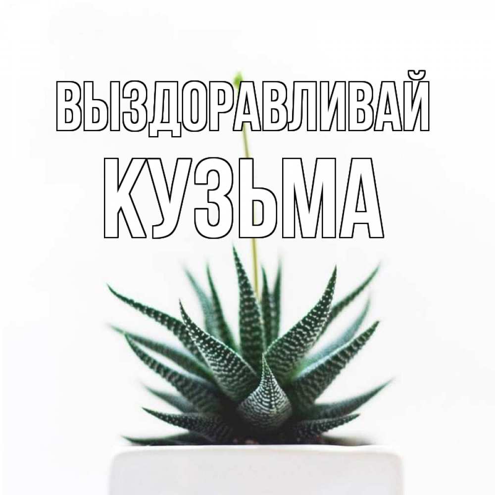 Открытка на каждый день с именем, Кузьма Выздоравливай короче это непонятная колючка Прикольная открытка с пожеланием онлайн скачать бесплатно 