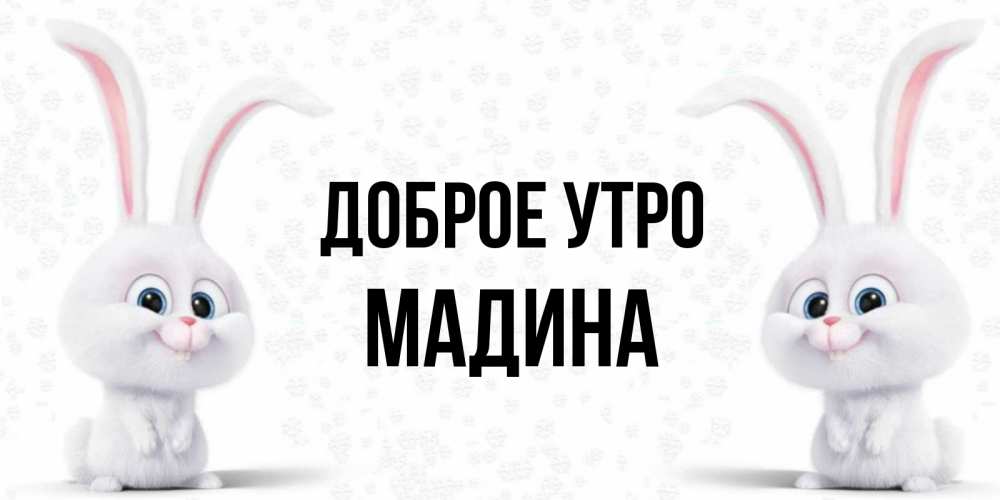 Открытка на каждый день с именем, Мадина Доброе утро кролики с длинными ушками Прикольная открытка с пожеланием онлайн скачать бесплатно 