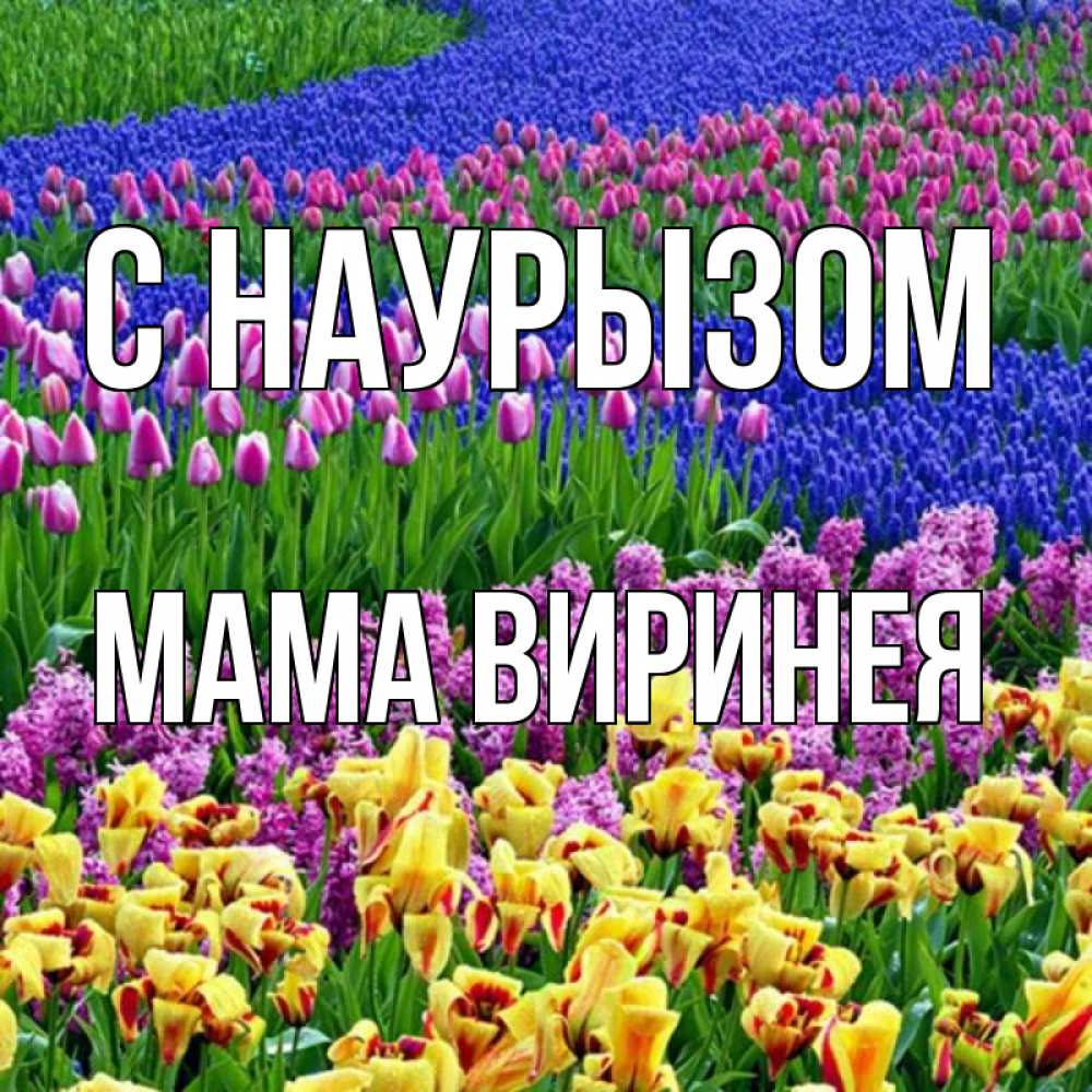 Открытка на каждый день с именем, Мама-Виринея С наурызом цветы Прикольная открытка с пожеланием онлайн скачать бесплатно 