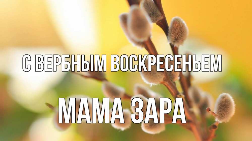 Открытка на каждый день с именем, Мама-Зара С вербным воскресеньем верба 1 Прикольная открытка с пожеланием онлайн скачать бесплатно 